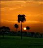 Sunset -atardecer en Los Llanos de Gurabo